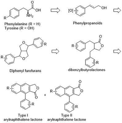 Transition Metal-Mediated Annulation Approaches for Synthesis of Arylnaphthalene Lignan Lactones